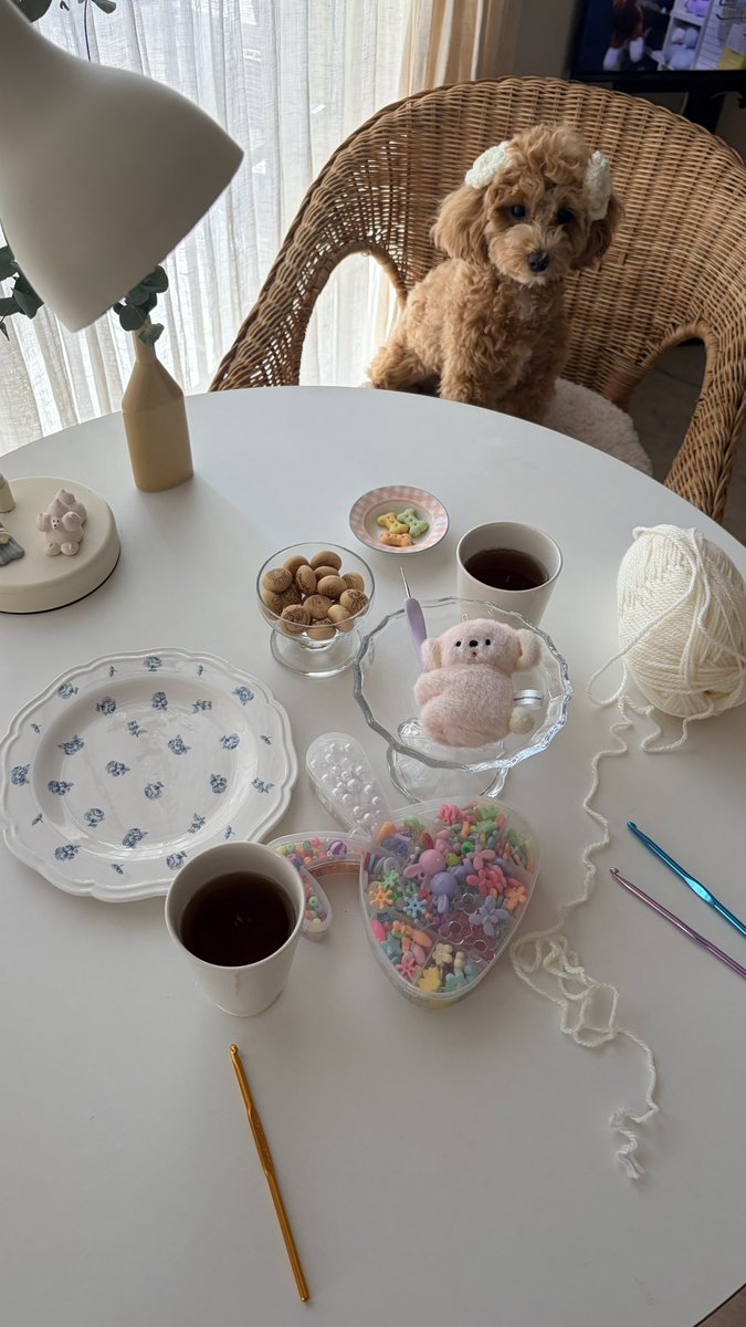 𝗎𝗍𝗍 ⋆꙳ tweet media