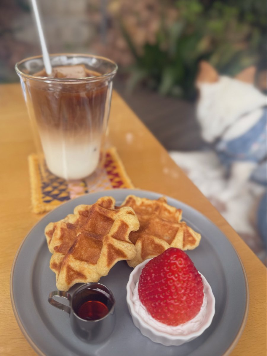 りー🫧 | 16期夜活コミュサポ隊☕️💫 tweet media