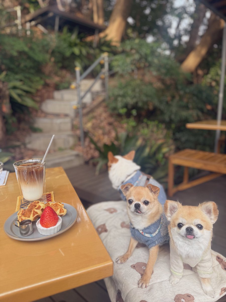 りー🫧 | 16期夜活コミュサポ隊☕️💫 tweet media