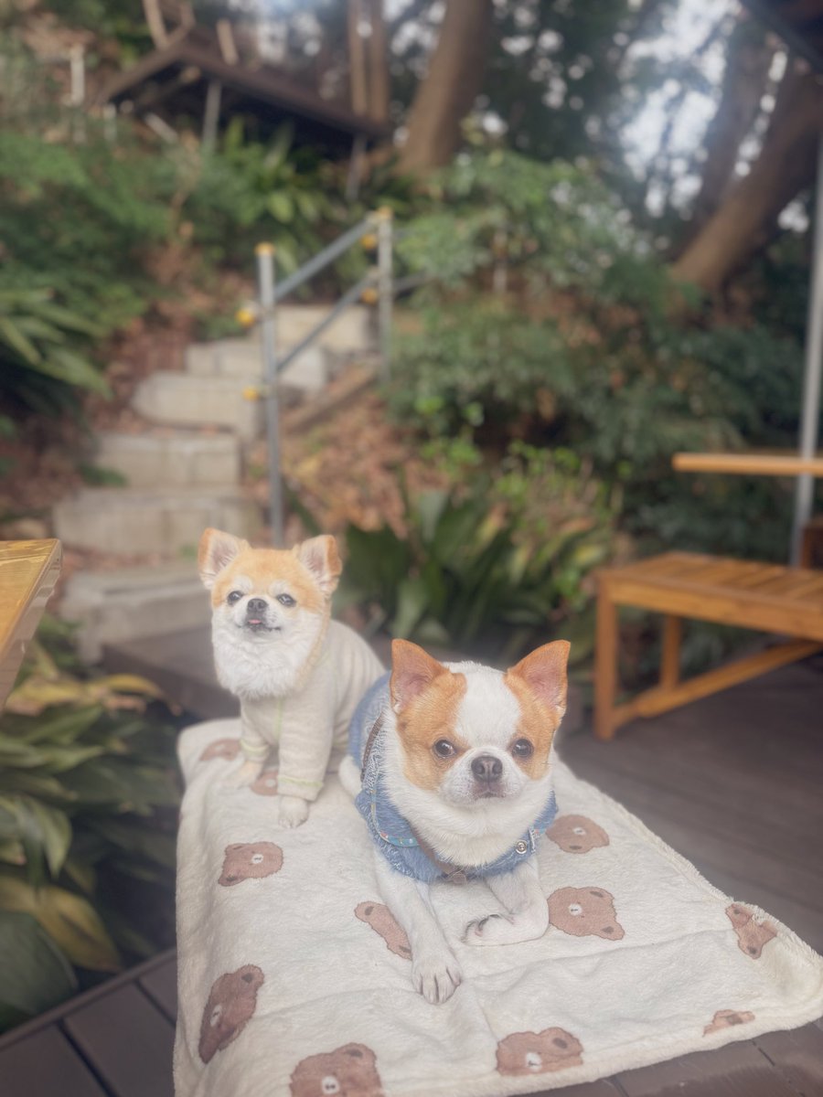 りー🫧 | 16期夜活コミュサポ隊☕️💫 tweet media