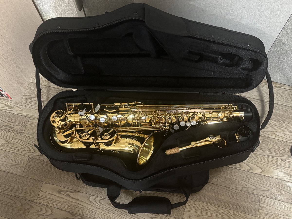 ekozsax's tweet image. 2月からxyz accent引っさげてレッスンに通い出してまもなく2ヶ月😆
いやぁ、サックスって難しいっすね💦
でも、そこが楽し過ぎる😁🎵
今は練習が楽しくて仕方ないです✨
レッスンに通うのに楽器についてたハードケースは重た過ぎて、新しいケース買っちゃいました。

#PROTEC #MX304CT #アルトサックス