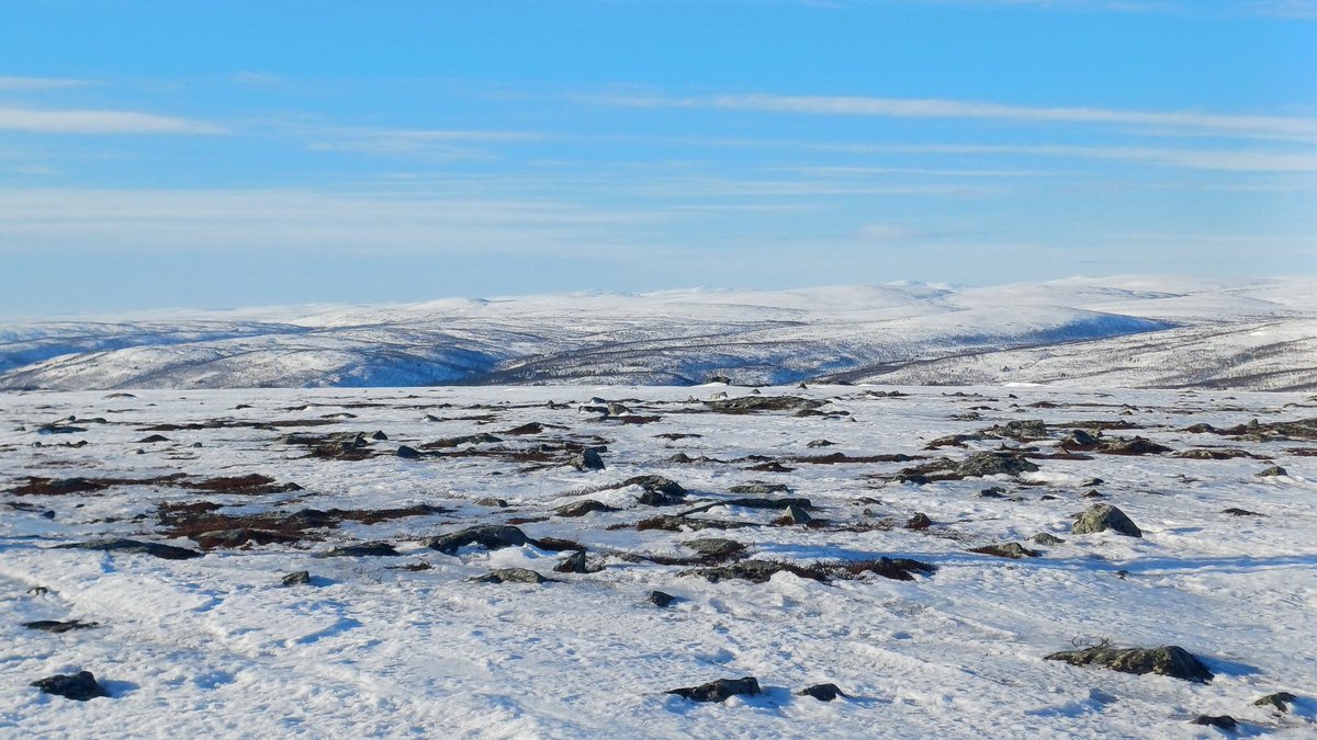 Minna Karjalainen tweet media