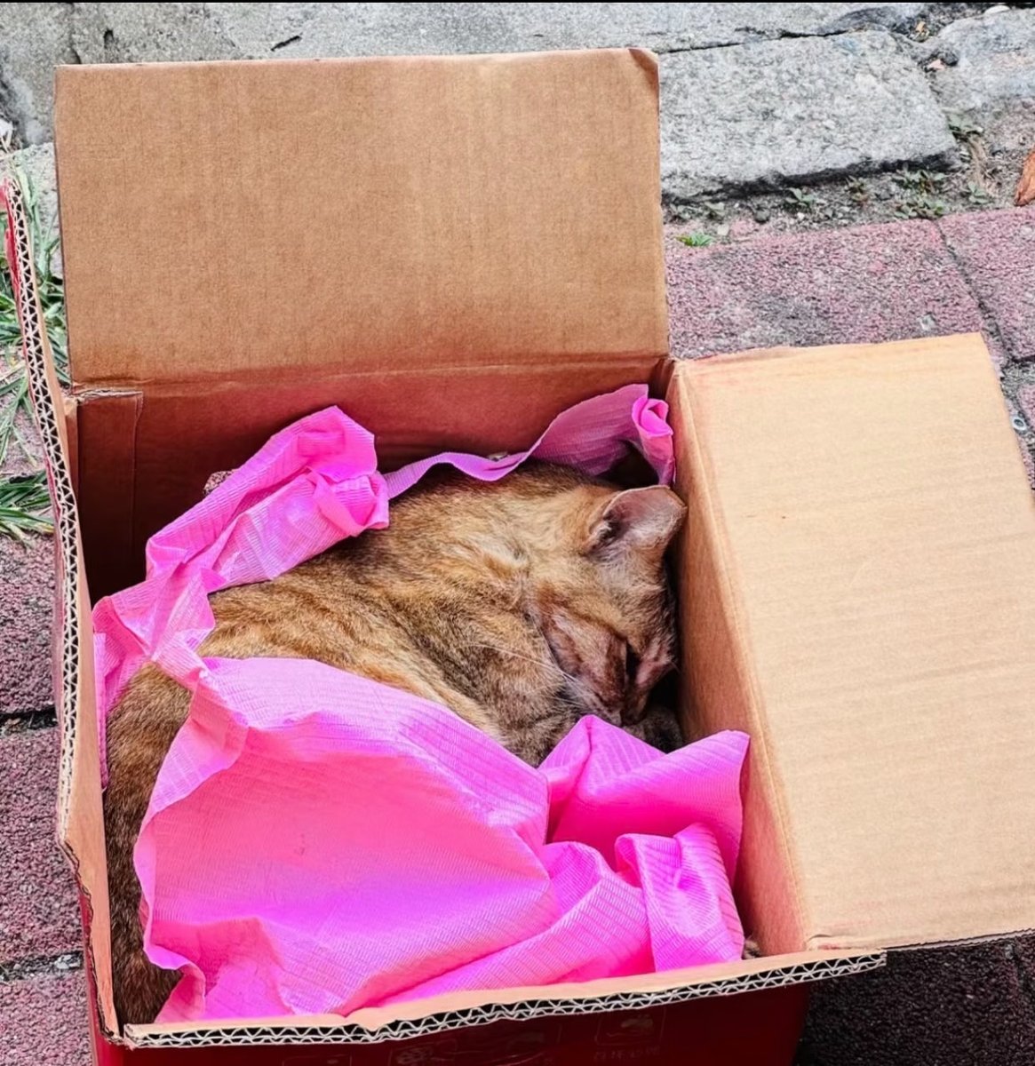 samesama4 tweet media