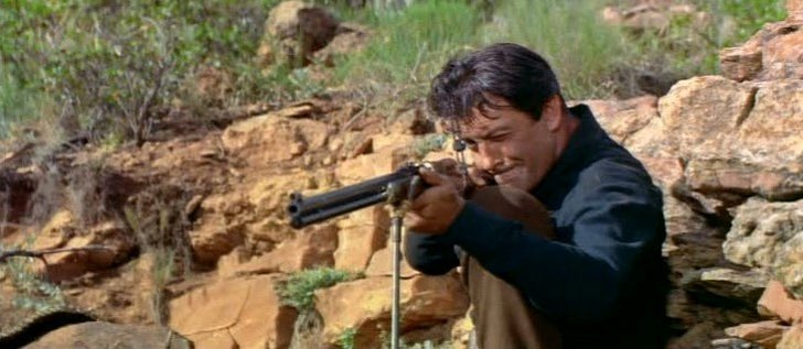 Ana Avellaneda tweet media