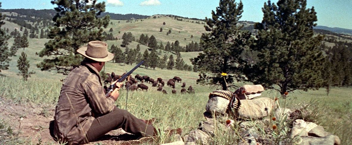 Ana Avellaneda tweet media