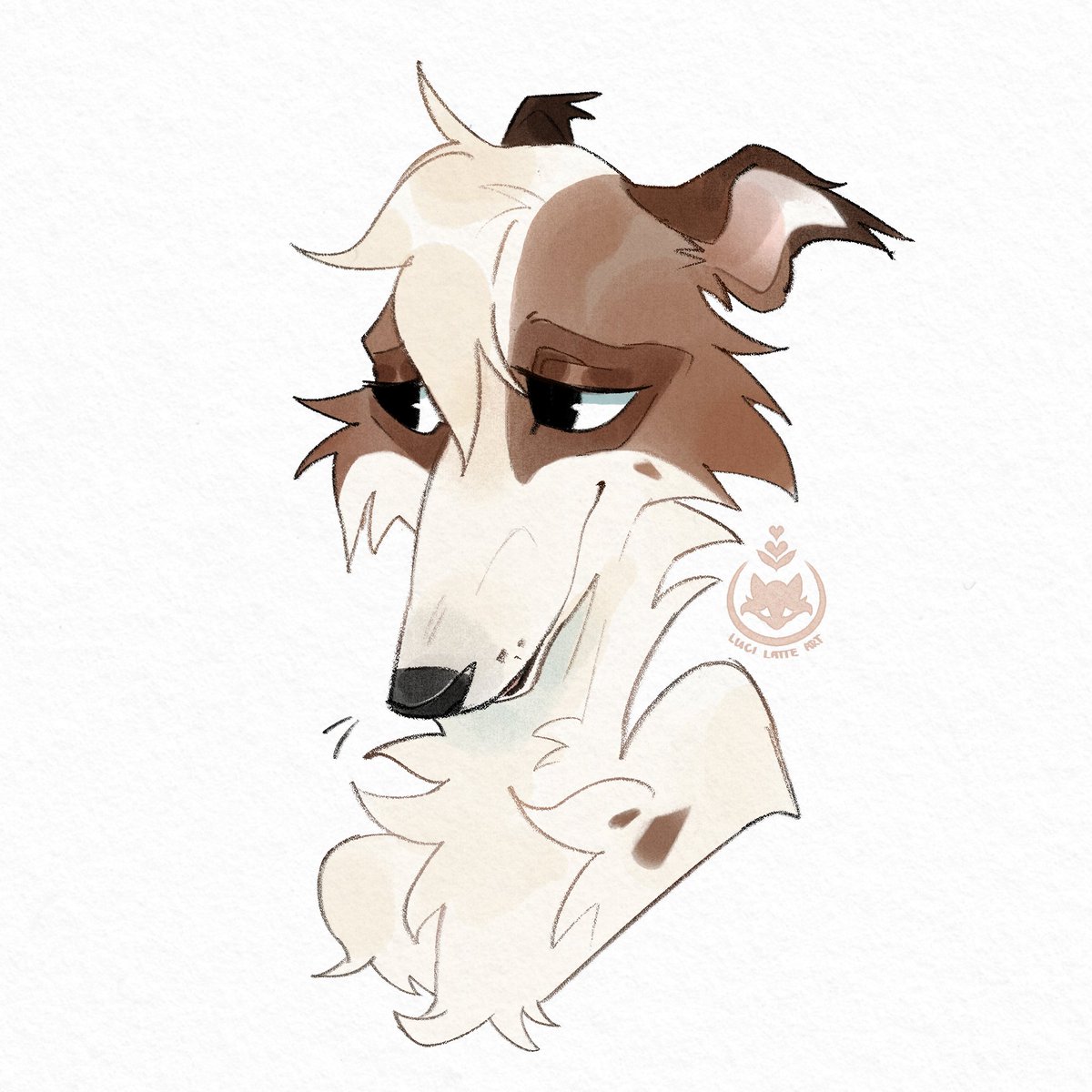 Luci ☕︎ tweet media