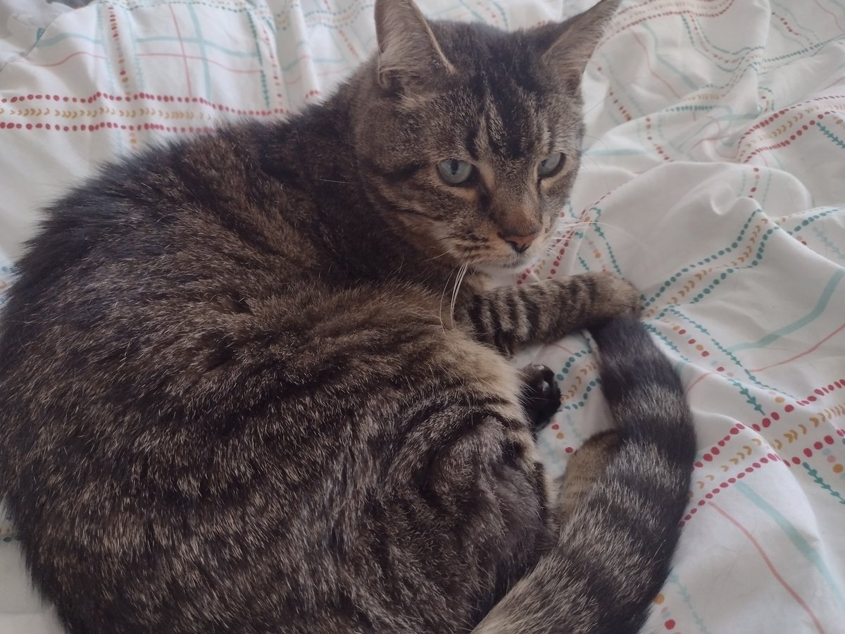 Xederov ⛤🚦🦇💥🪽 SPN Rewatch: 11x15 tweet media