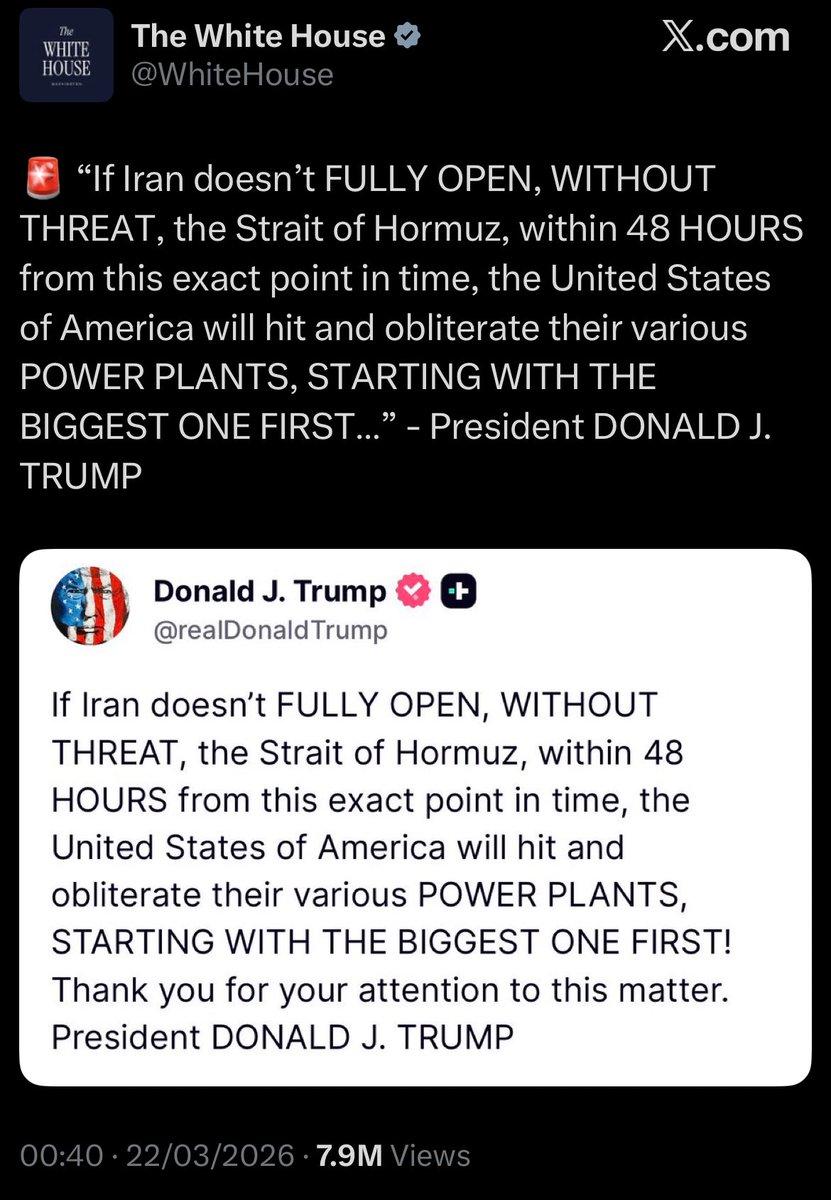 Darya Dolzikova tweet media