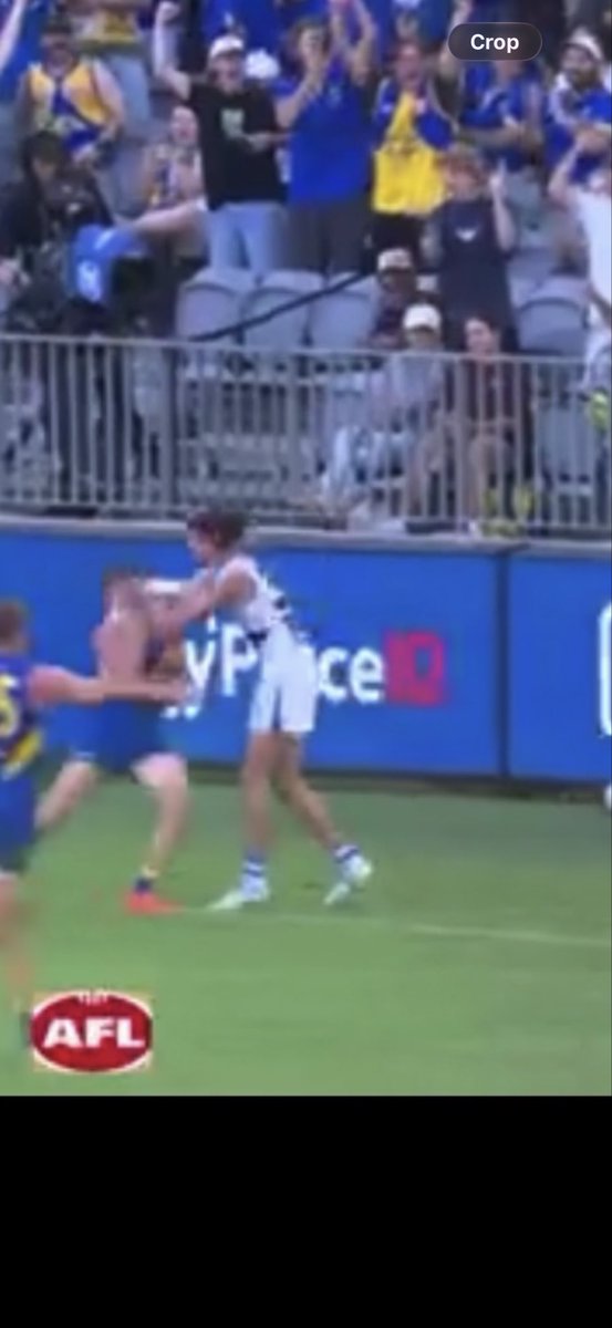 Bwatson_8's tweet photo. @AFL Stand up Harley https://t.co/6L6NK4rypz