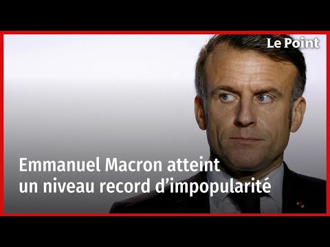 Marcello🐝 tweet media