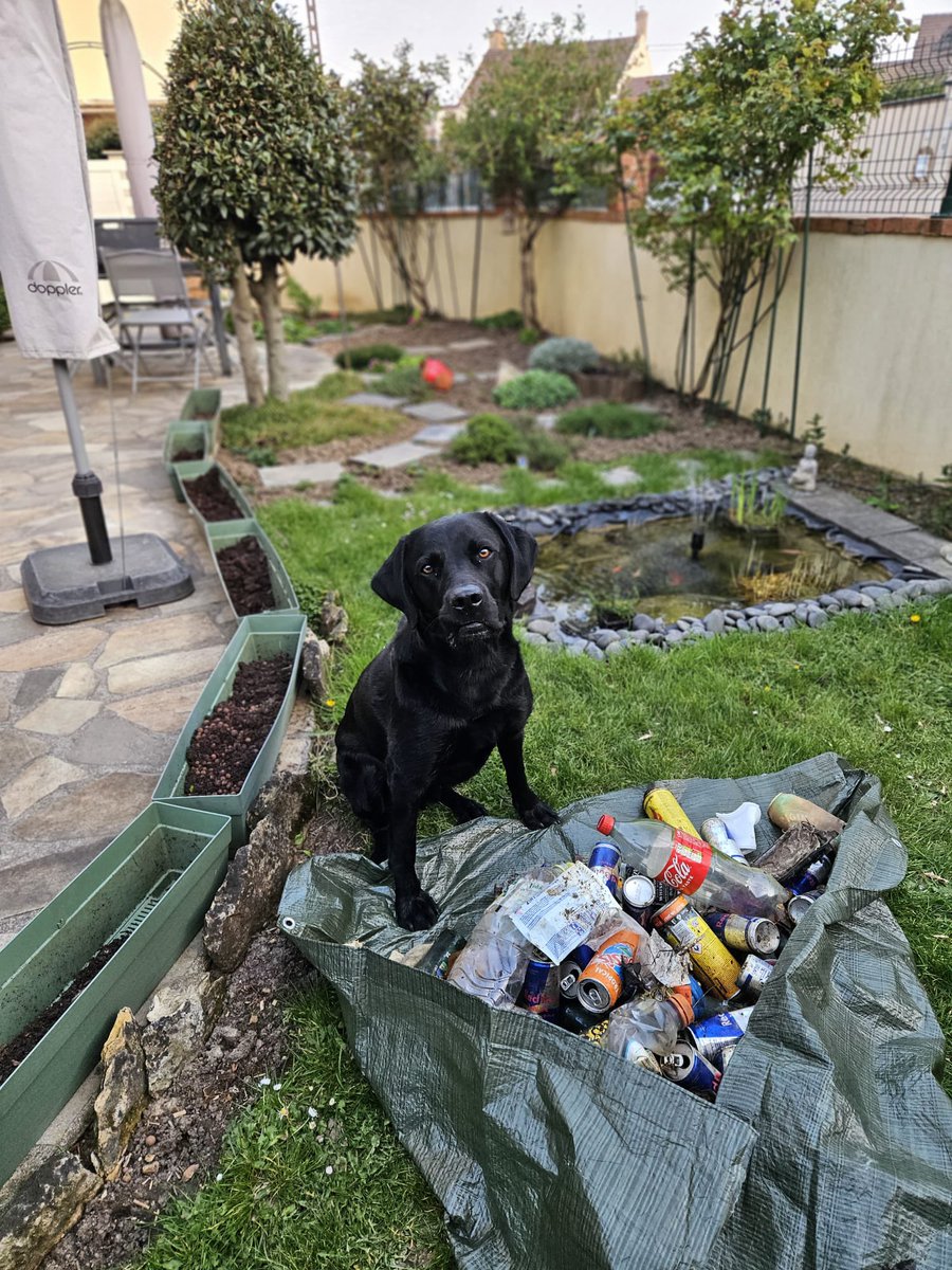 julien 3.0 tweet media