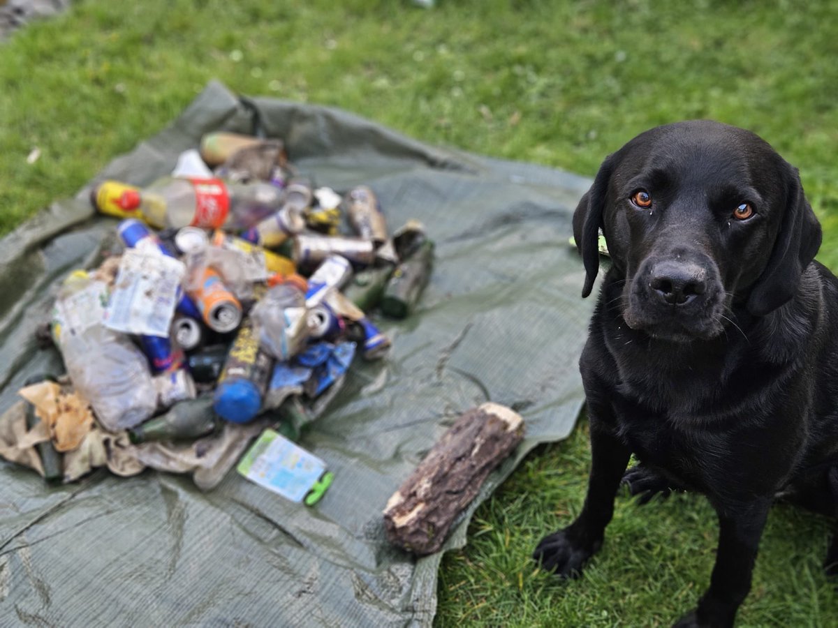 julien 3.0 tweet media