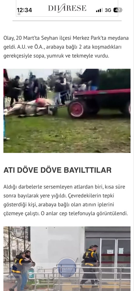 deli_karsi1903's tweet photo. İbretlik ceza diye vermiş #mynet ! Anlamadım ceza bunun neresinde! Bu canilere barınaklarda daha kolay bir şekilde hayvanlara eziyet etmeleri için imkan vermişler 😡😡😡😡😡😡 insanlığımdan utanıyorum. #hayvanaeziyetsuçtur ! https://t.co/QzHfubz9wN