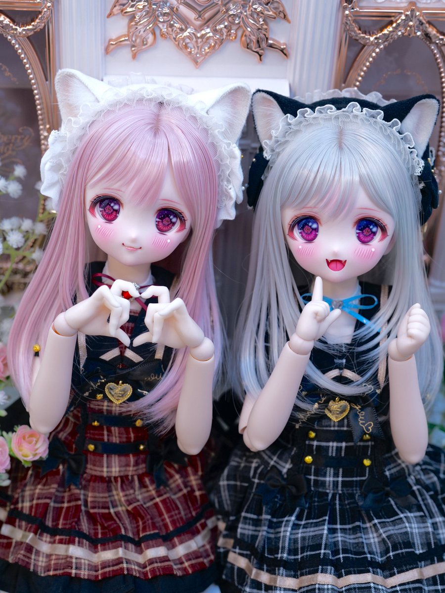 夢あかり🌙⋆*⋆ tweet media