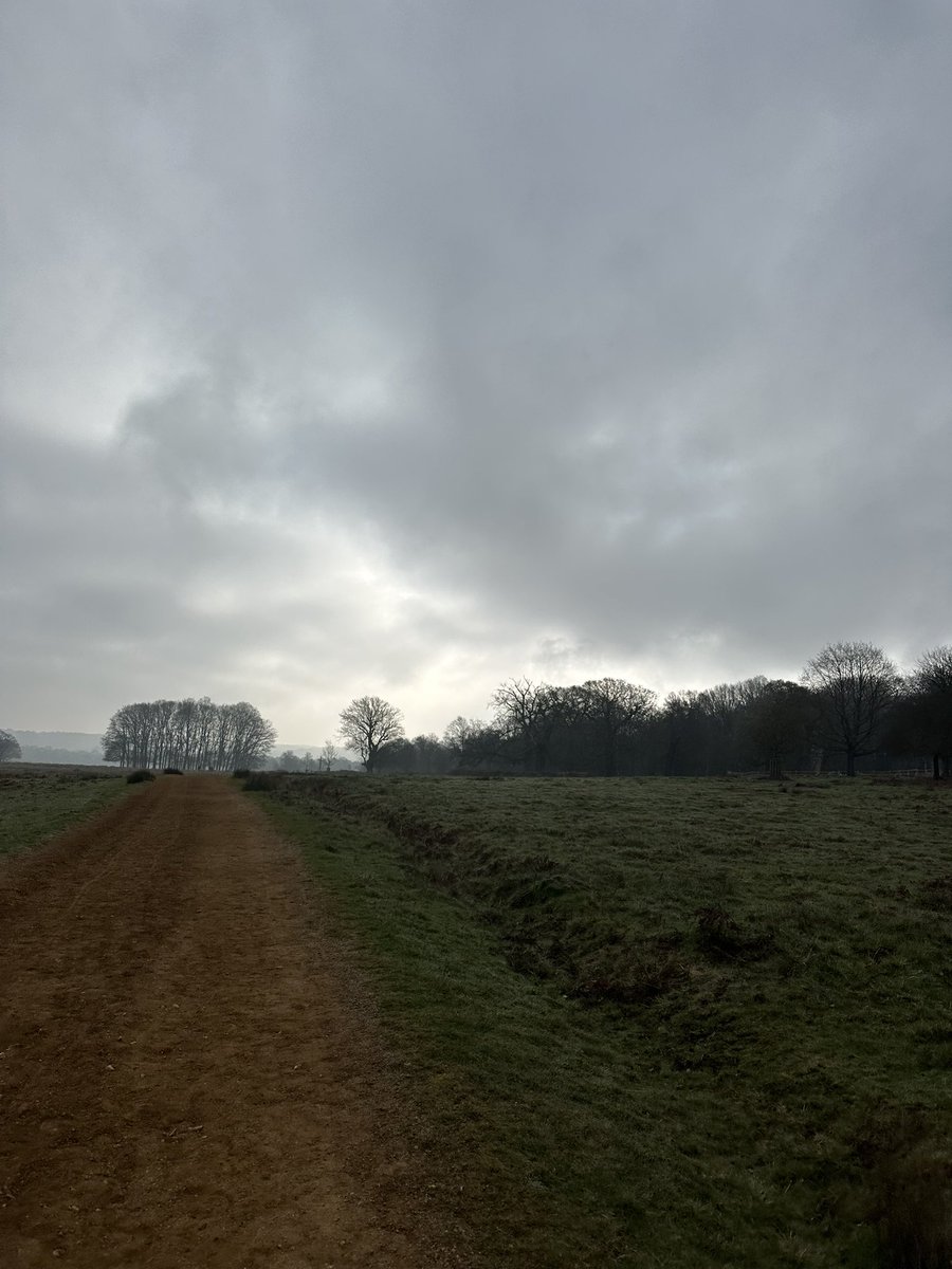 Sam Shethran tweet media