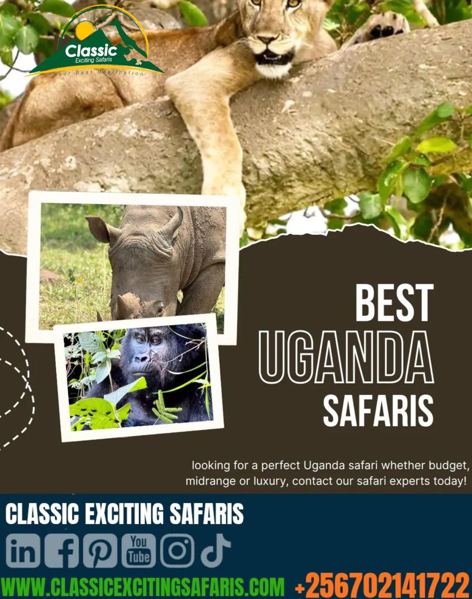 Classic exciting Safaris ltd tweet media