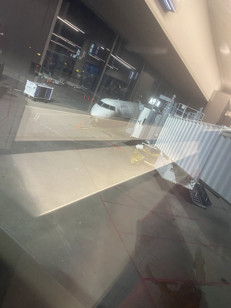 Bezu Halliwell tweet media