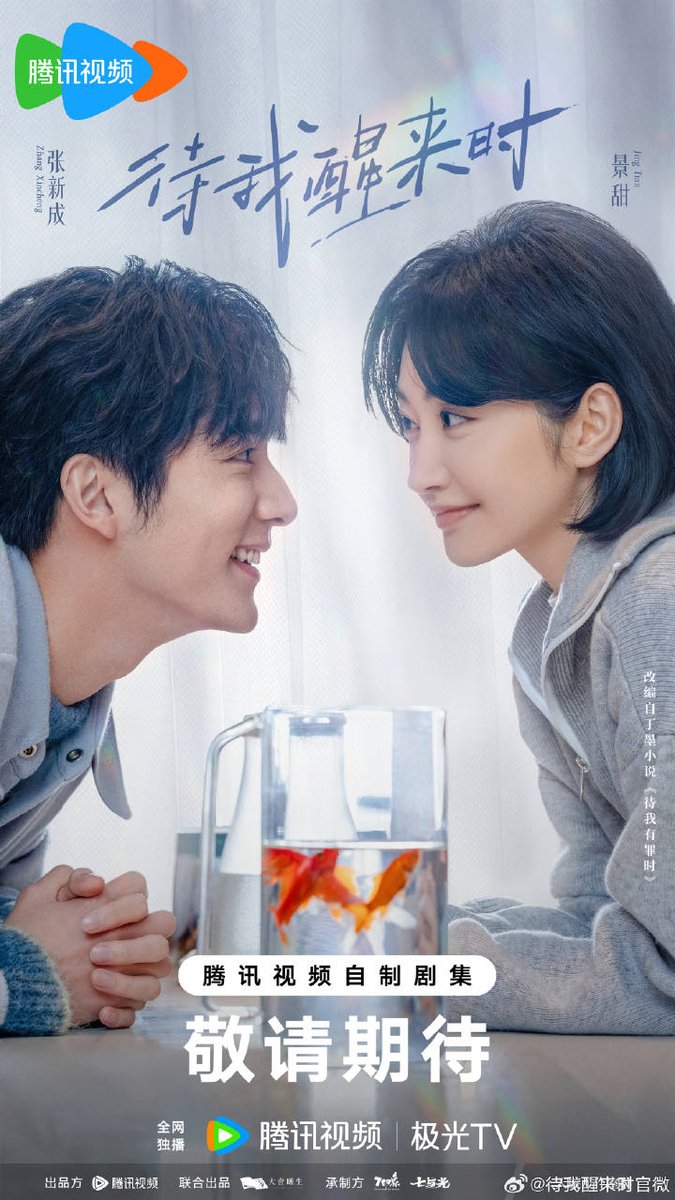 🐥🐱 tweet media