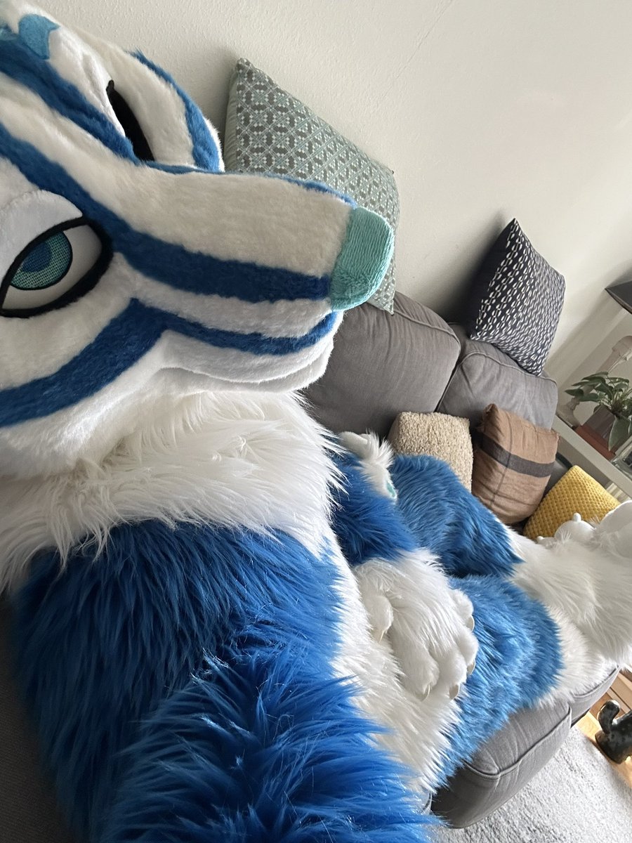 Slushie Husky 🔜 ? tweet media