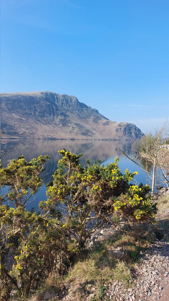 Brian Gotts tweet media