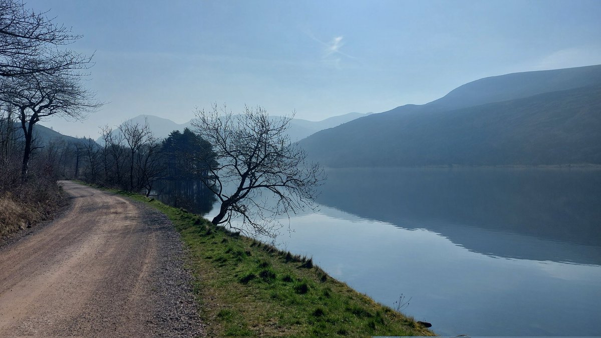 Brian Gotts tweet media