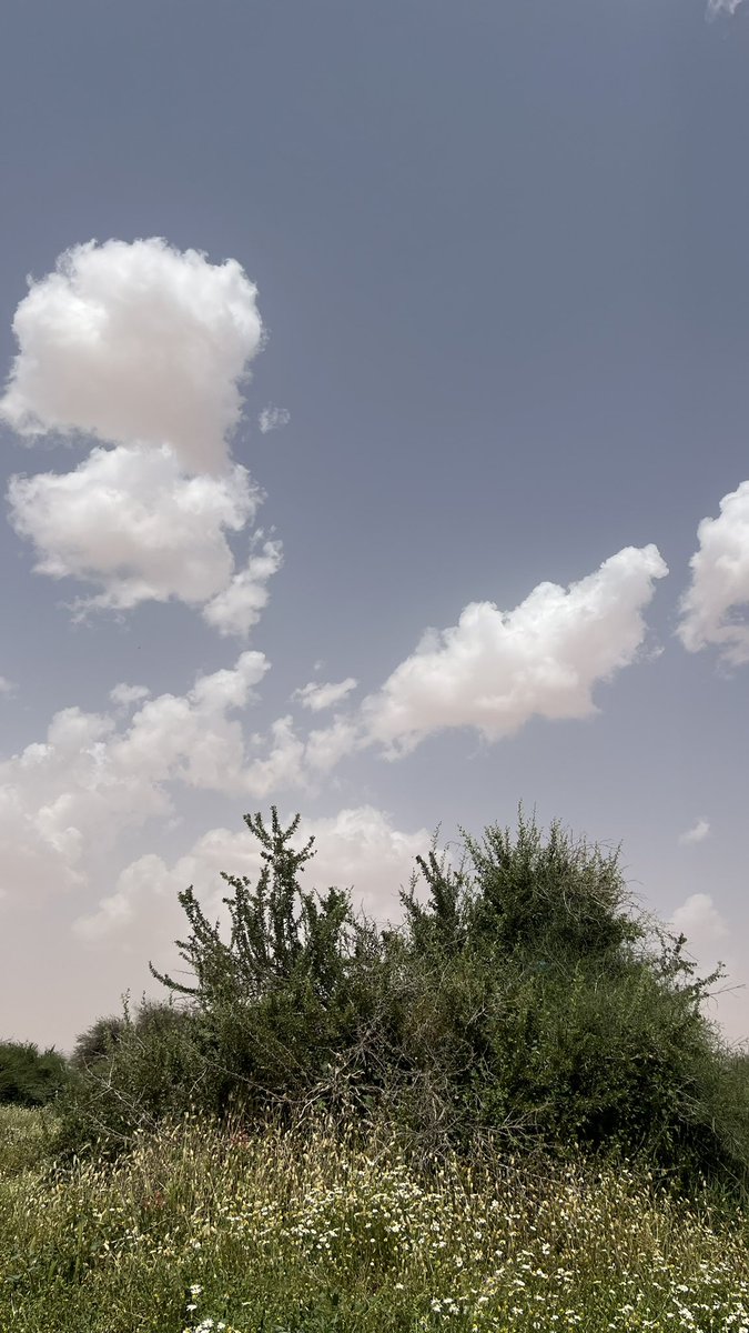 كلما تأملنا أكثر في السماء تأكدنا من أننا لا شيء بجانب قدرة الله وعظمة خلقه