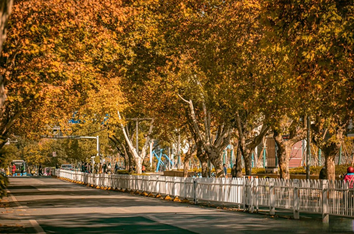 Tawandaglenn tweet media