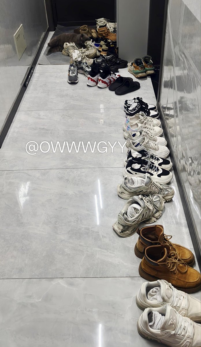 大白鲨---- tweet media