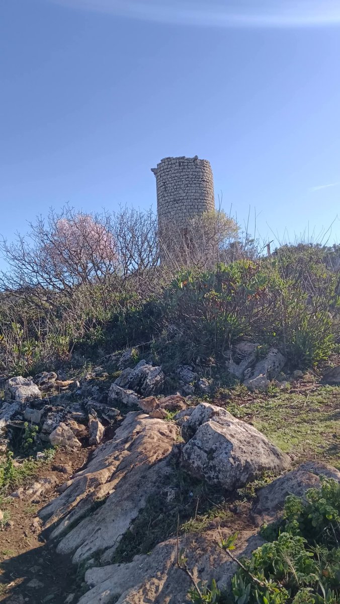 Eduardo Alvarado tweet media