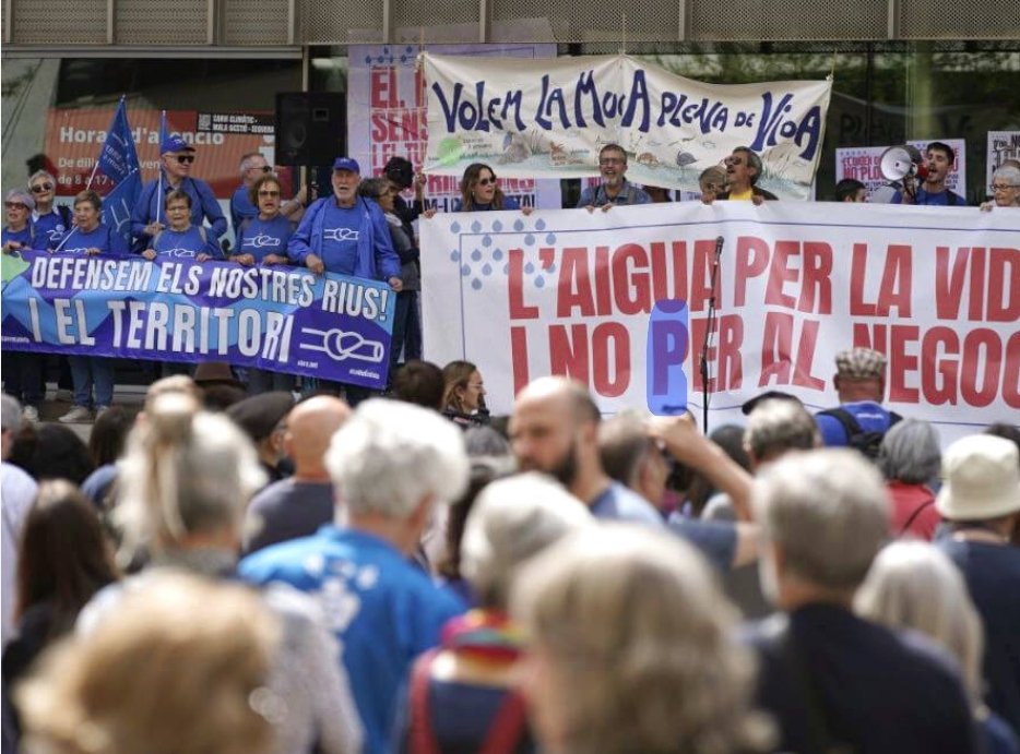 Quim Pérez tweet media