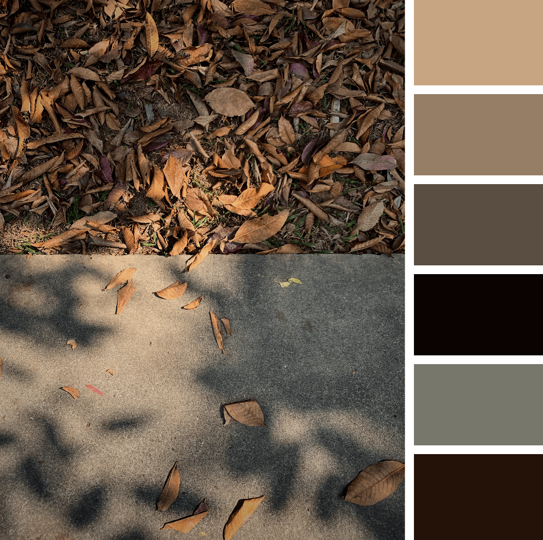 Olivier massakidi tweet media