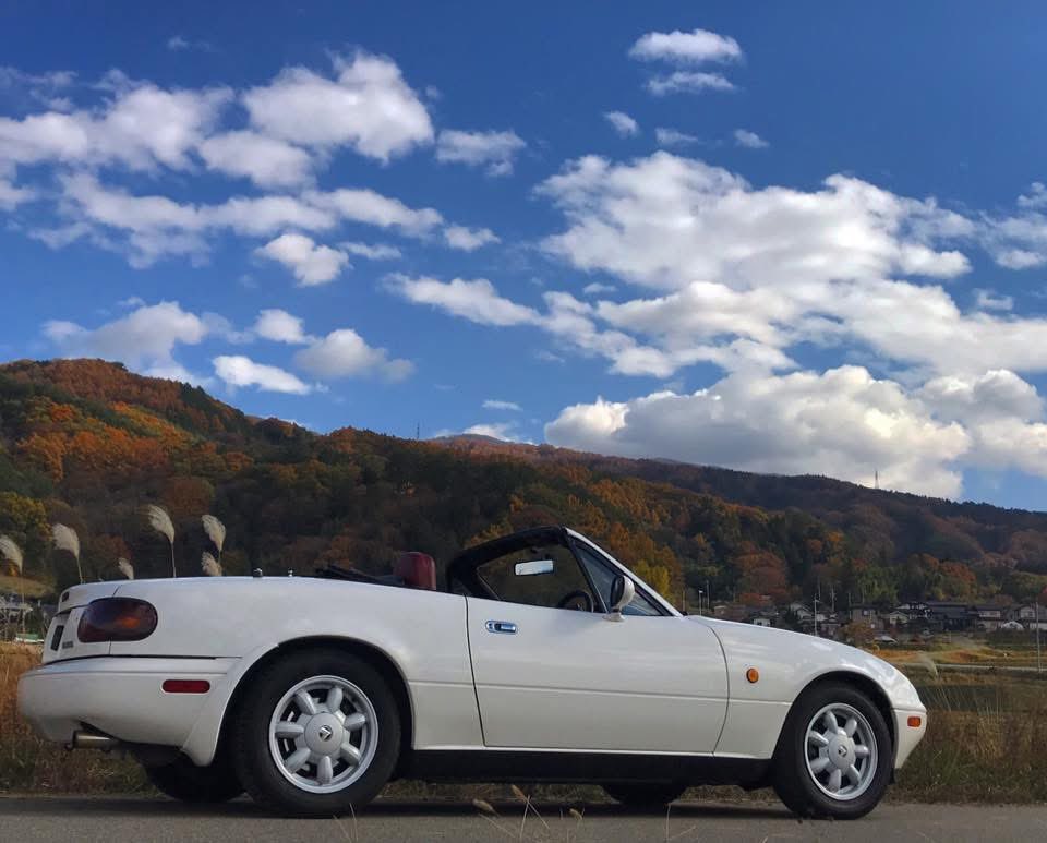 びり～ tweet media