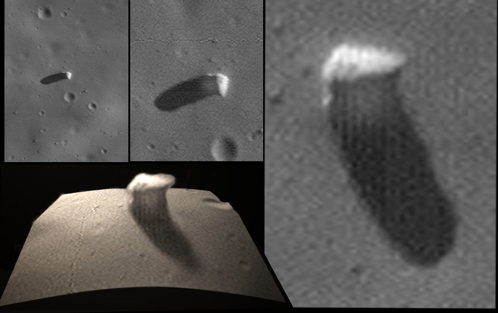 Beau Dade tweet media