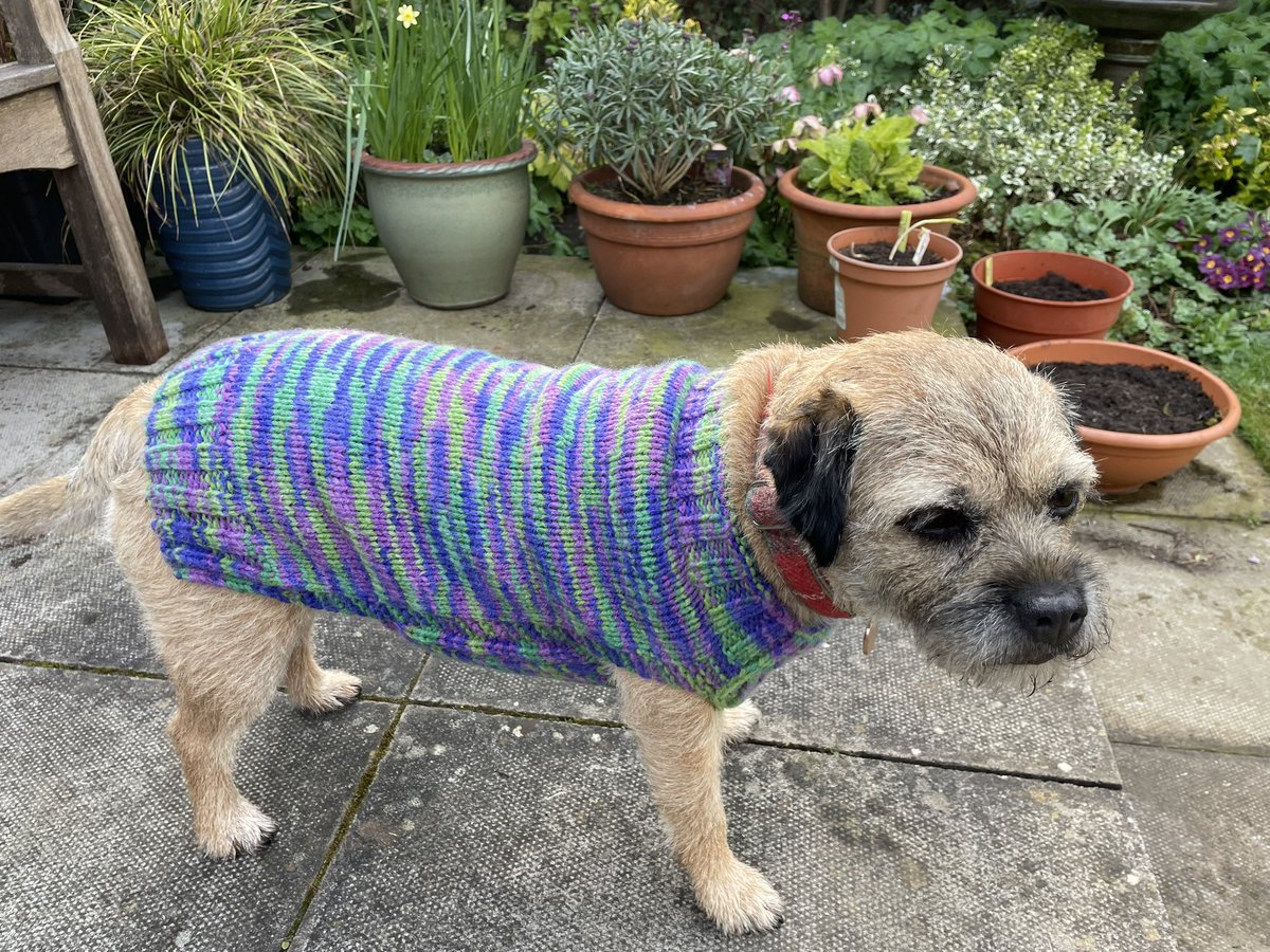 Nancy. 🐾 tweet media