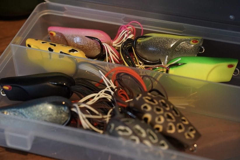 Deep Forest®︎-Shiro Suganuma tweet media