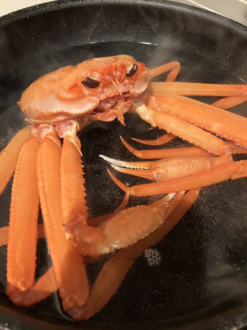 スーパーで安かったので🦀を茹でています!怒ってるみたいな顔してる😡 