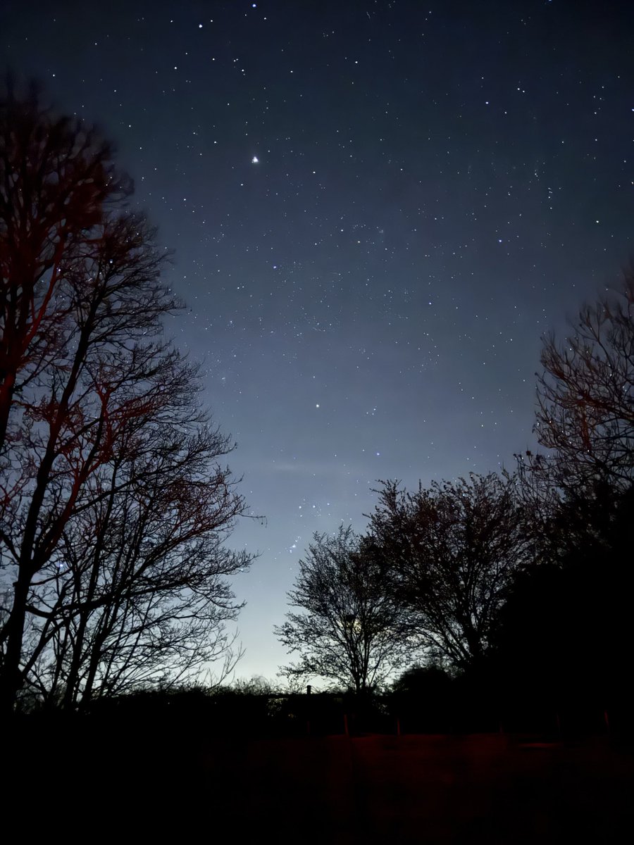 Tiptree Star Gazers tweet media