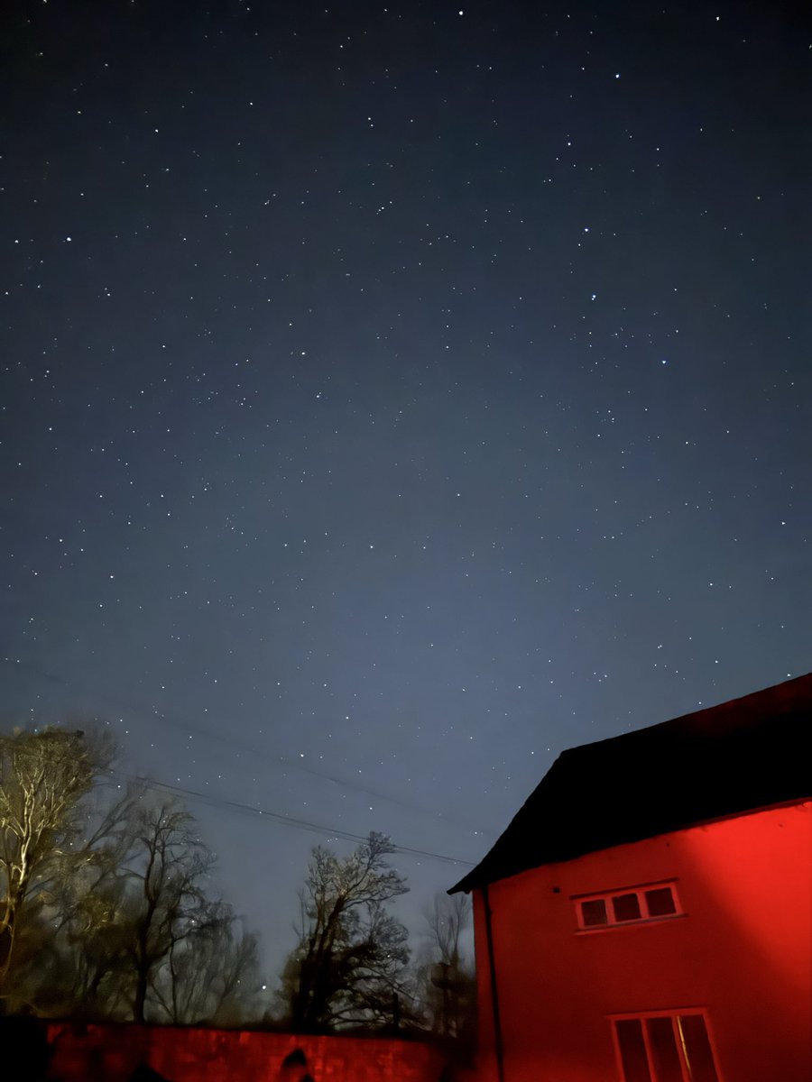 Tiptree Star Gazers tweet media