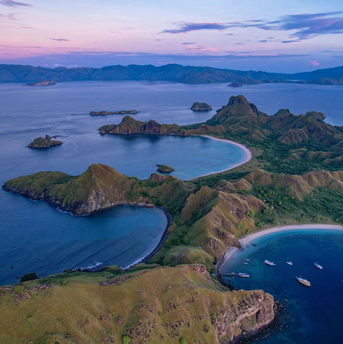 Coralbound tweet media