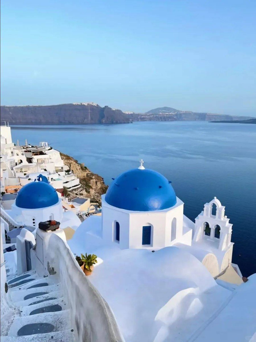 Green Adams tweet media