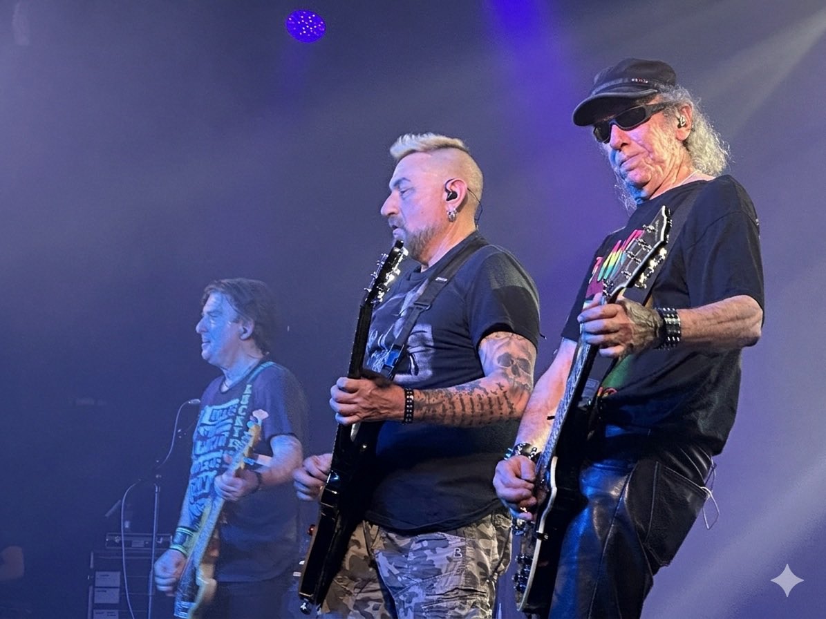 TodoRock.com 🤘 tweet media