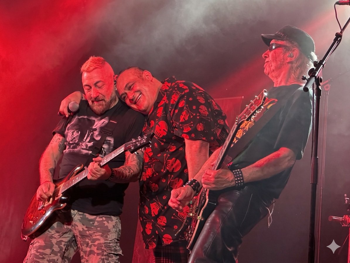 TodoRock.com 🤘 tweet media