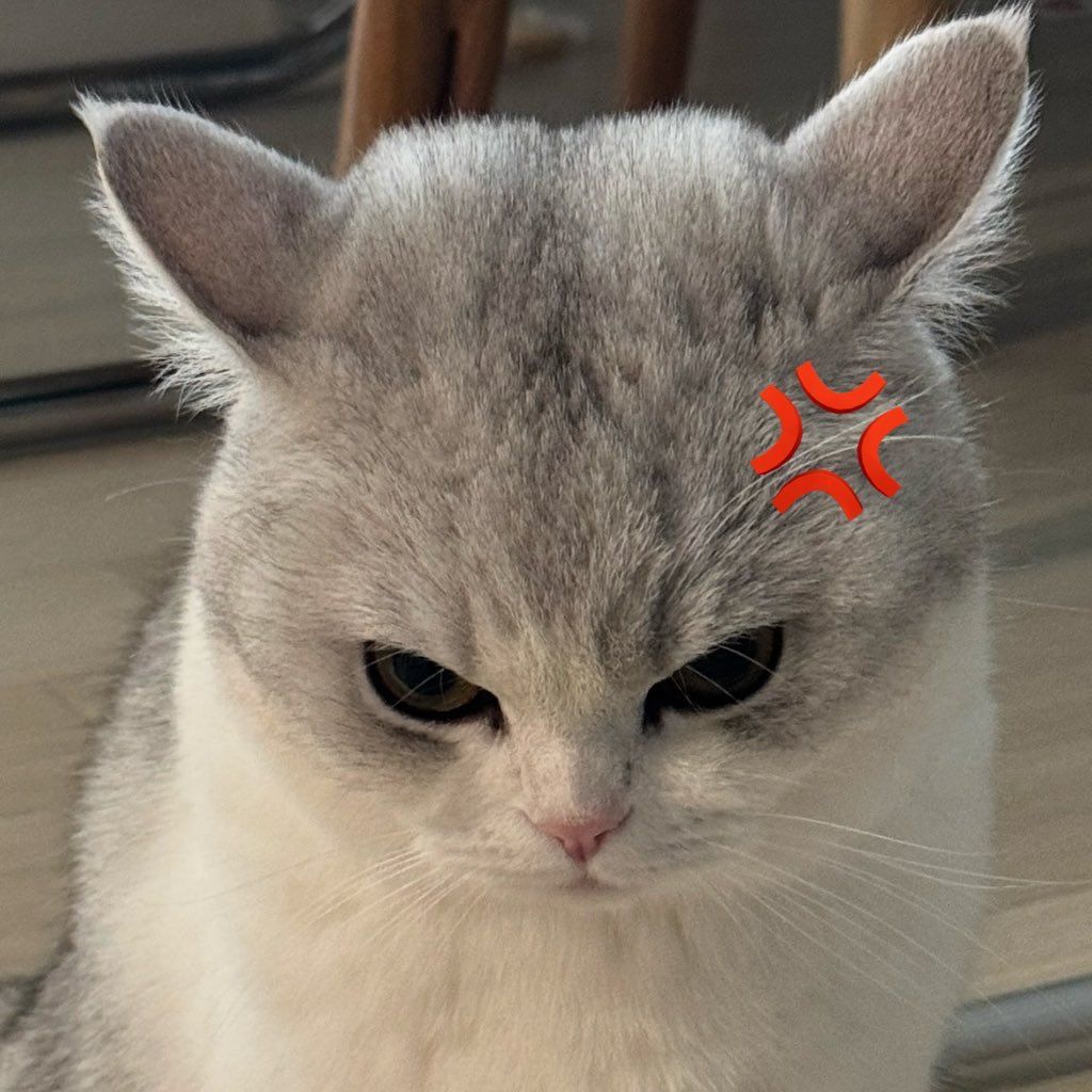 xxiqqr🧃 tweet media