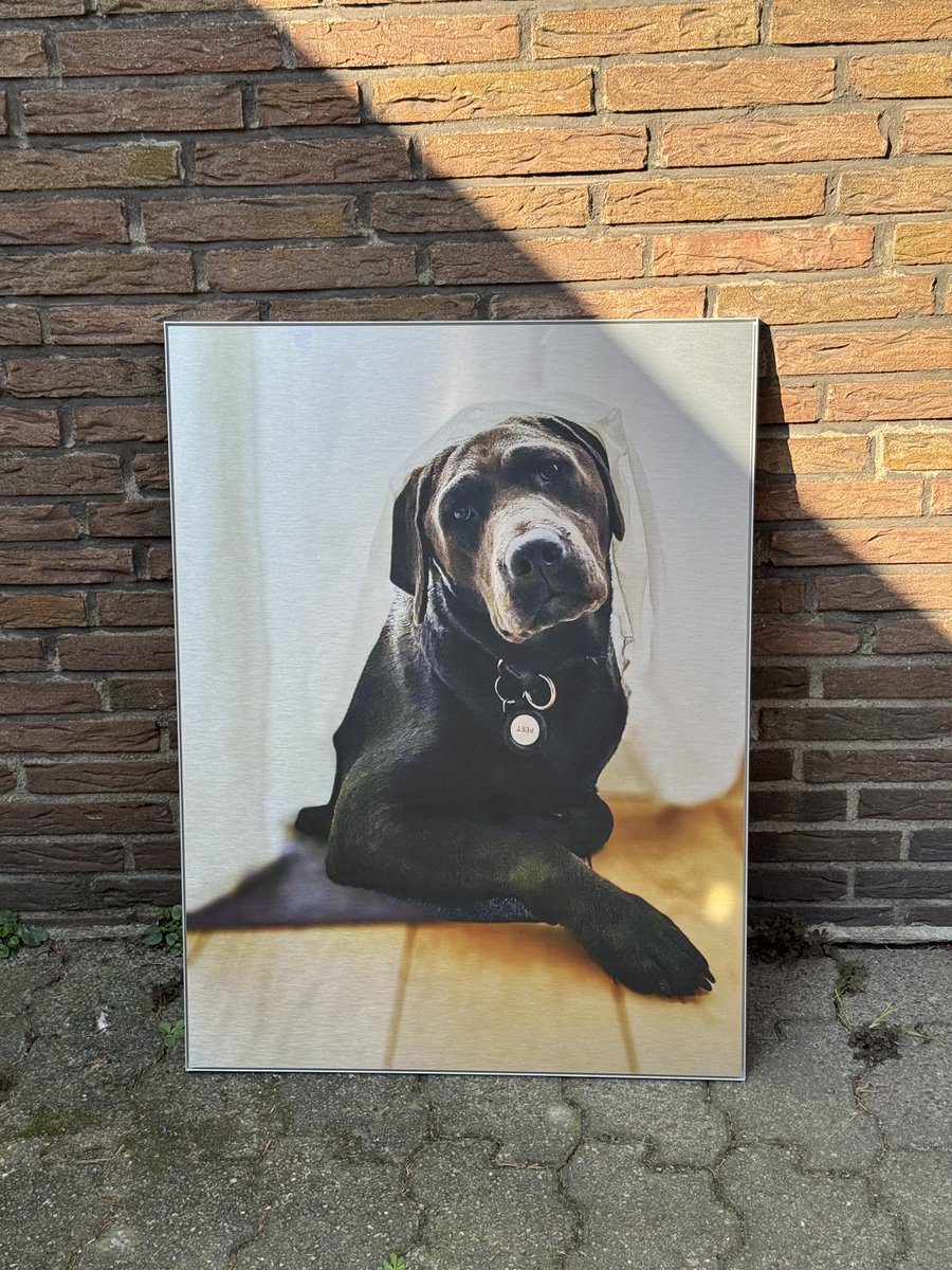 lost-heritage🇬🇧🇬🇧 tweet media