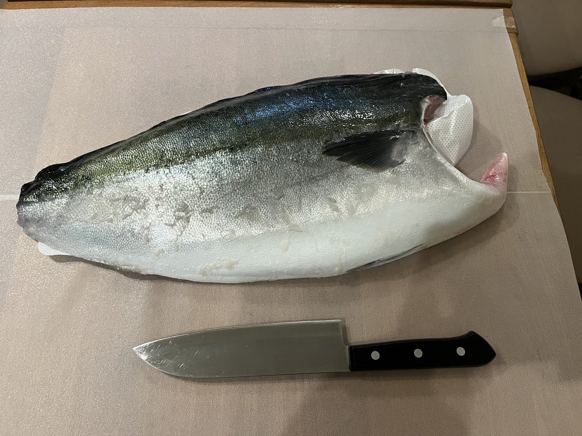 ボチョコ＠三色彗星 tweet media