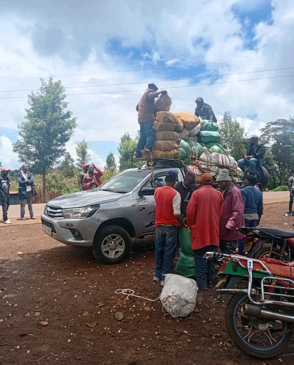 Adi Brayo tweet media