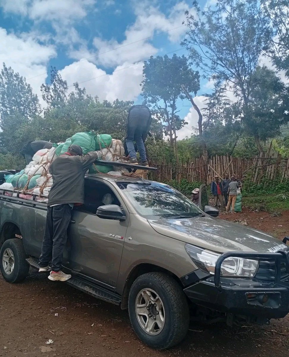 Adi Brayo tweet media