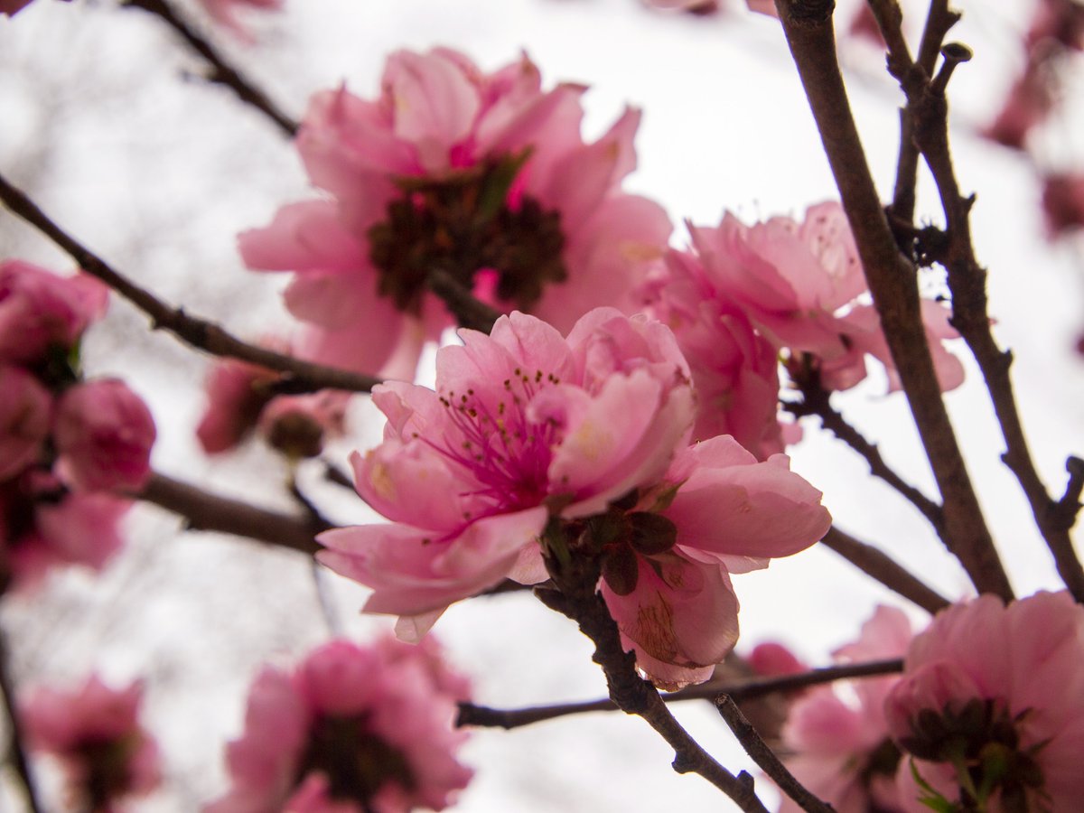 滕达·跃金｜Tenda Ekinnos tweet media