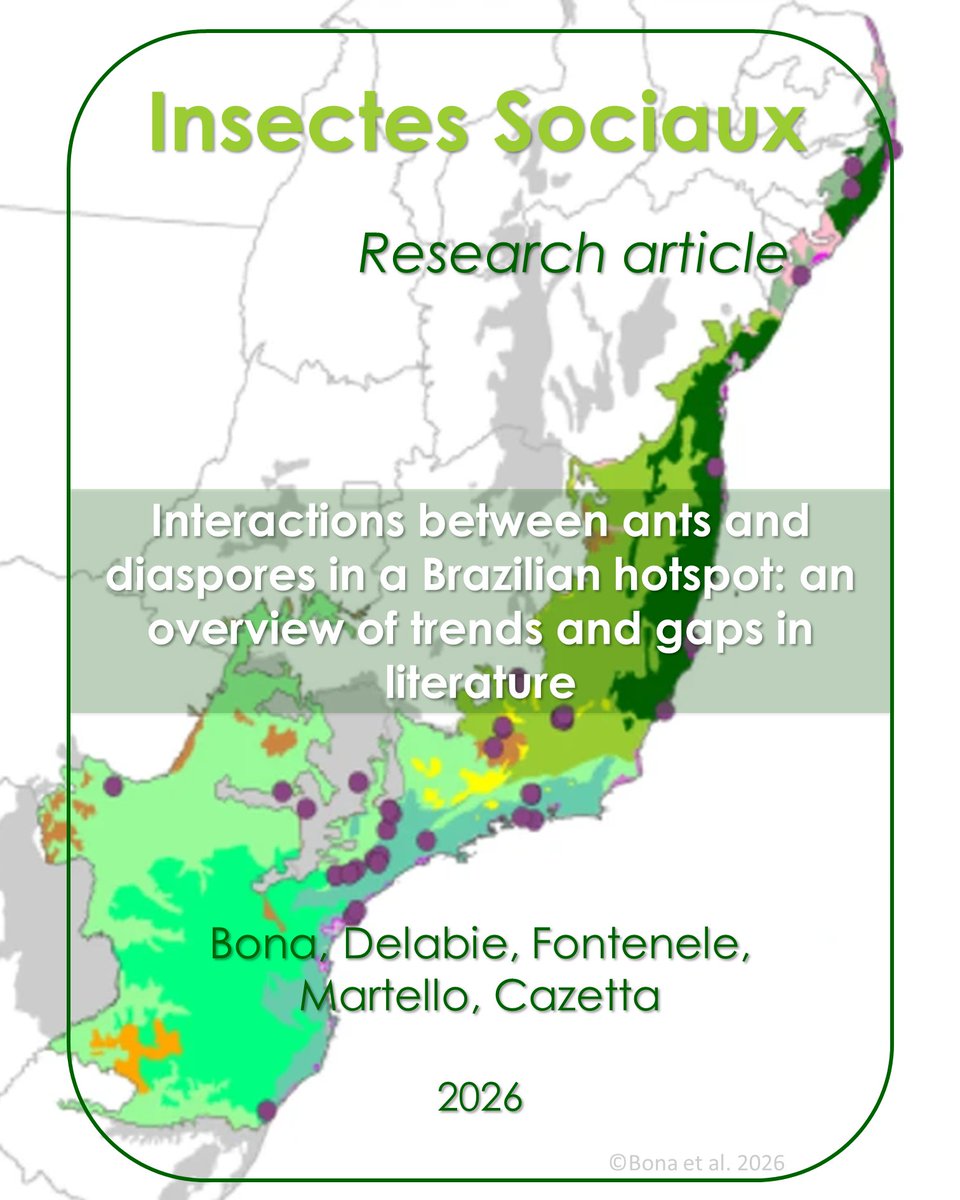 Insectes Sociaux tweet media