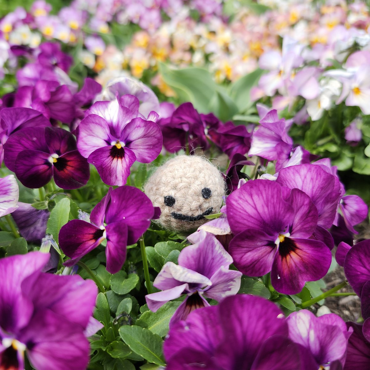 はる＊ピクルス tweet media